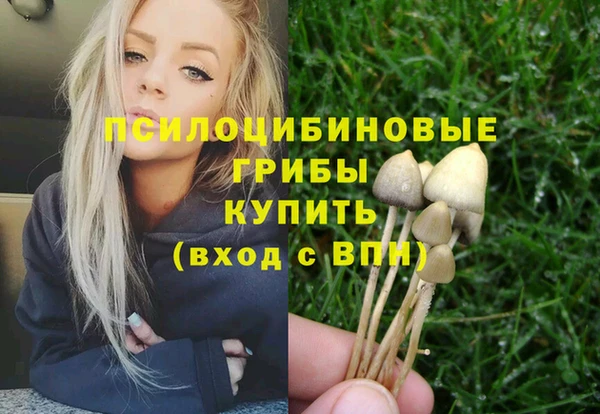 экстази Медвежьегорск