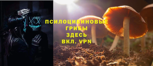 spice Абаза
