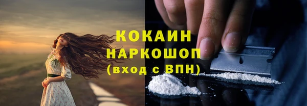 винт Мегион