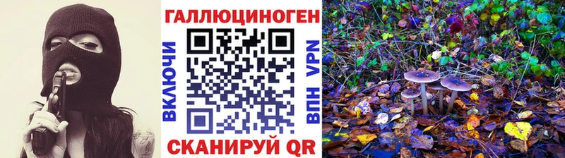 где продают наркотики  маркетплейс телеграм  Псилоцибиновые грибы прущие грибы  Астрахань 
