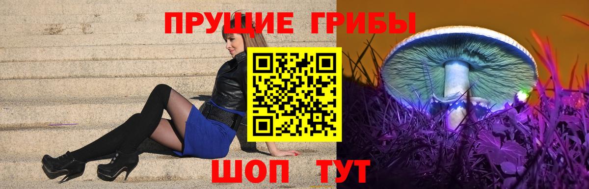 Астрахань  как найти закладки  Вход с VPN  Псилоцибиновые грибы мицелий 
